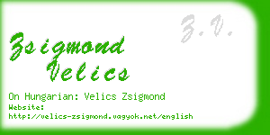zsigmond velics business card